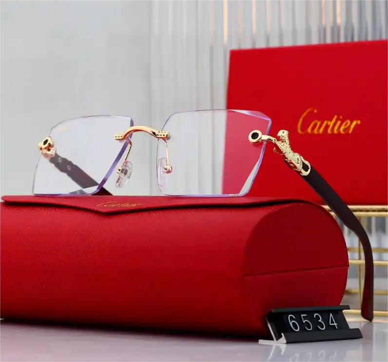 Cartier Sunglasses — foto 6 de 6