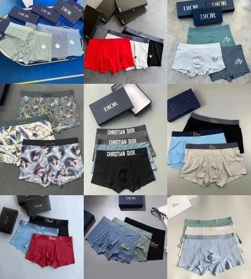 Dior underwear